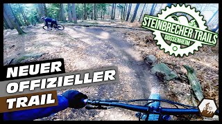 Der NEUE Kronenburgtrail am Weißen Stein  Steinbrecher Trails Dossenheim  Trailstürmer 4K [upl. by Durning]