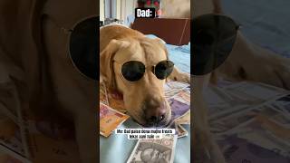 फिरसे आ गये रे बाबा 🙄😰🥴 trending funnydogs comedyvideos labrador shorts ytshorts youtube [upl. by Leventis]