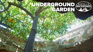 Fresnos Underground Garden was created by one mans American dream  Bartells Backroads [upl. by Kizzee]