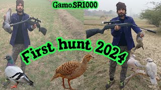 Air gun hunting pigeon dove grey francolin sr1000 gamo reply 10x hunting 2024MZ Birds Hunting [upl. by Nagem600]