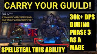 HOW TO DO 30k DPS DURING PHASE 3 ON IRON COUNCIL AS A MAGE [upl. by Catherine468]