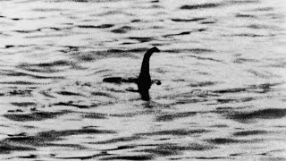 Biggest hunt for the mythical creature Loch Ness Centre rallying support for new search [upl. by Assej]