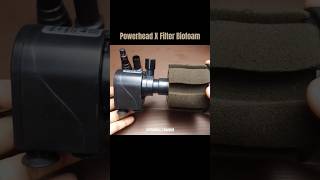 Powerhead X Filter Biofoam shorts [upl. by Bel276]