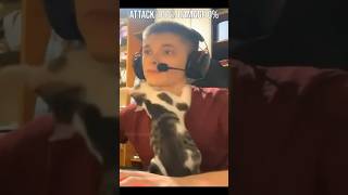 Funniest Animal Moments 19 🐾😂  Try Not to Laugh shorts [upl. by Raji770]