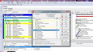 Filtering amp Highlighting Activities In Primavera P6 [upl. by Gahan]