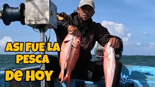 ASI FUE LA PESCA DE HOY CON LA MÁQUINA CASERA ELÉCTRICA [upl. by Trudnak404]