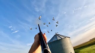 We Found The MOTHERLOAD Pigeon Hunting Grain Bins [upl. by Diane]