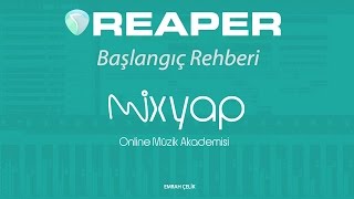 Reaper Başlangıç Rehberi [upl. by Yelraf581]