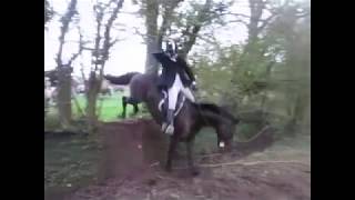 Suir Vale Harriers Hunt Clonmore Jan 2019 [upl. by Lalat]