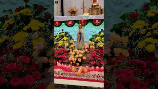 karunai mazhaiye mary matha whatsapp status  kanni madha song tamil status mary thomas jesus [upl. by Ahtilat]