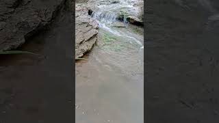 Water flowing sound for relaxation relax with nature [upl. by Dana]