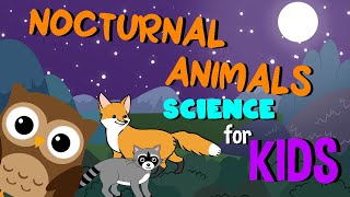 Nocturnal Animals  Science for Kids [upl. by Rigby]