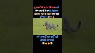 अपनों के साथ विश्वासघात करने का अंजाम यही होता हैimotinalsayarishortsvideosubscribemychannel💯👍🙏😰 [upl. by Fredelia]