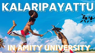 Kalaripayattu ✨️ Amity University Noida [upl. by Eimat585]