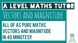 All of Vectors and Magnitude in 40 Minutes  Chapter 11  A Level Pure Maths [upl. by Akimehs]