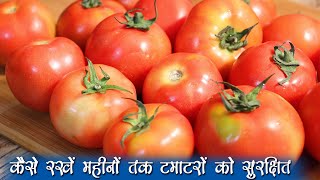 Tomato Puree Recipe  टमाटर को कैसे करें स्टोर महीनों तक जानिए इस वीडियो में  How To Store Tomato [upl. by Oicaro]