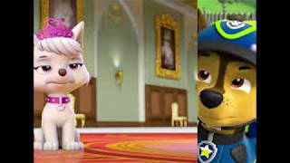 The Perfect Dog Paw Patrol version [upl. by Biddy]