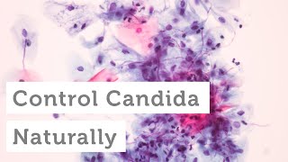 What to Do About a Candida or Yeast Overgrowth [upl. by Lemraj925]