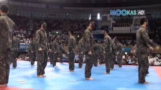 Taekwondo display by the Korean army at the 2013 Hammadang [upl. by Atinel]