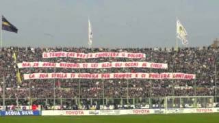 Coreografie CURVA FIESOLE [upl. by Oilerua197]