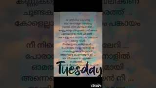 chandukudanjorul chandupottutrendingviralmusic malayalamlyrics shortsfeedsongmoviemoviesong [upl. by Past]