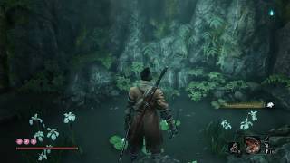 Sekiro Shadows Die Twice Lotus Of The Palace Location [upl. by Jefferson]