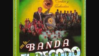 Banda El Recodo Mix De Cumbias [upl. by Braswell]