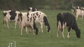 Agriculture  pause environnementale  Vendée [upl. by Banwell]