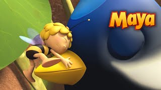 La Abeja Maya 🐝 Mejores Episodios  Episodio completo  ¡Ayudemos al pajarito a volar [upl. by Tutt]