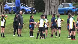 U10B Rugby Marist Eastern U10 Wolves Vs Carlton Juniors Rugby U10 Red 20082022 [upl. by Derayne]