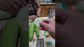 Harvesting Loofah Please Subscribe amp Like thekozyhomestead [upl. by Mears]