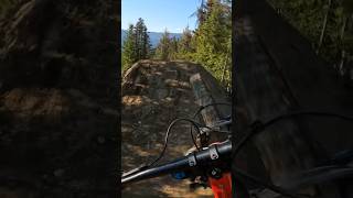 Crabapple hits 🦀🍎 whistler bike park 2024 [upl. by Towers832]