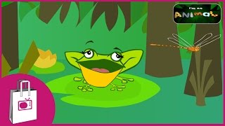 Im a Frog [upl. by Marquita]