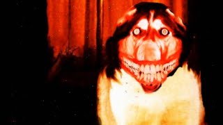 Smiledog The Internets Most Disturbing Image [upl. by Aiki684]