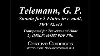 Telemann G P  Sonata for 2 Flutes in emoll TWV 42e13 Traverso Oboe [upl. by Essilec960]