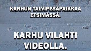 KARHU VILAHTI VIDEOLLA Karhun talvipesäpaikkaa etsimässä II [upl. by Hasheem]