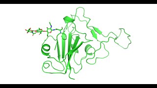 How to define Glycans and disulfide bonds in CharmmGUI [upl. by Hsirahc]