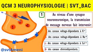 SVT Bac Neurophysiologie Synapse excitatrice et synapse inhibitrice  QCM 3 [upl. by Yramliw582]