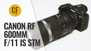 Canon RF 600mm f11 IS STM lens review with samples [upl. by Kenlee]