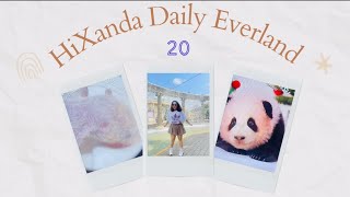 dailyvlog 20 schooltrip everland [upl. by Nnylarac541]