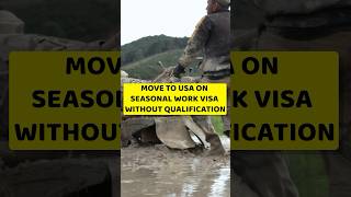 USA Seasonal work visa [upl. by Hudson]