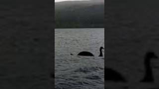 O MONSTRO DO LAGO NESS [upl. by Akimrehs616]