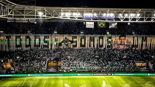 FESTA DA TORCIDA DO PALMEIRAS NA GOLEADA CONTRA O AMÃ‰RICA [upl. by Susette]