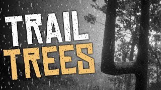 What Are The Trail Trees  Red Dead Redemption 2 [upl. by Esau126]