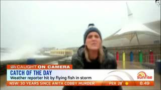 Reporter hit in head by flying fish during weather report sun7 WMV V9 [upl. by Secnirp]