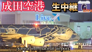 🌃✈️成田空港 📸 生中継 【Narita international airport ✈️ Live 📸】【Gibson Narita】 [upl. by Adnohsar]