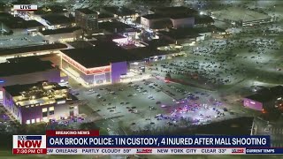 Oak Brook Mall Shooting Witnesses explain chaotic scene inside  LiveNOW from FOX [upl. by Sidonnie]