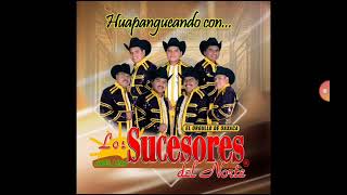 Los sucesores del norte mix de huapangos DJ BERNY [upl. by Fanny]