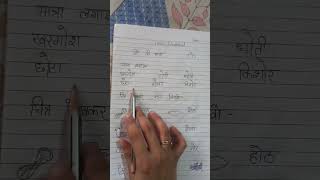 ओ hindi worksheet class lkgukgkgsrkg  latest vedio 20242025 [upl. by Airret]