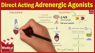 Pharmacology ANS 15 Direct Acting Adrenergic Agonists Dopamine Dobutamine Oxymetazoline [upl. by Arni928]